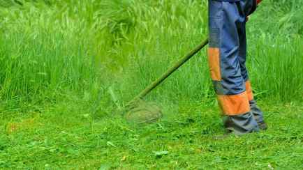 Когда косить траву после зимы? Эти дни и температура гарантируют красивый газон летом