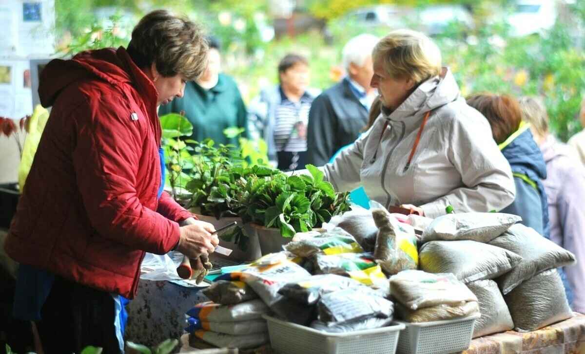 Штраф от 400 рублей. Налоговики рассказали, как белорусам торговать рассадой по закону