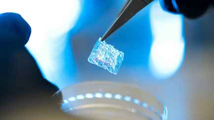 Российские учёные заявили, что изобрели пластырь от рецидивов рака