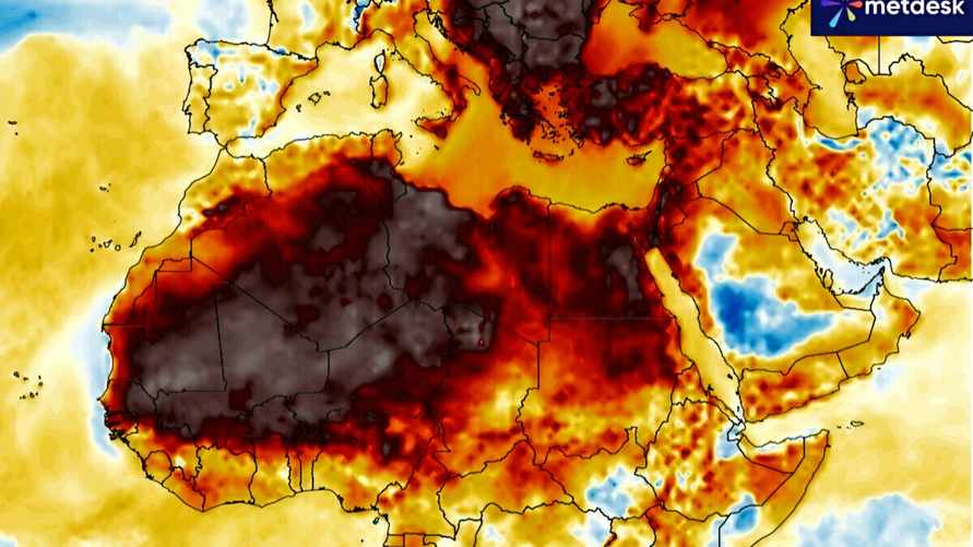 "Мощный вынос" - Стали известны причины аномальной жары в Беларуси в марте-апреле. Что дальше?