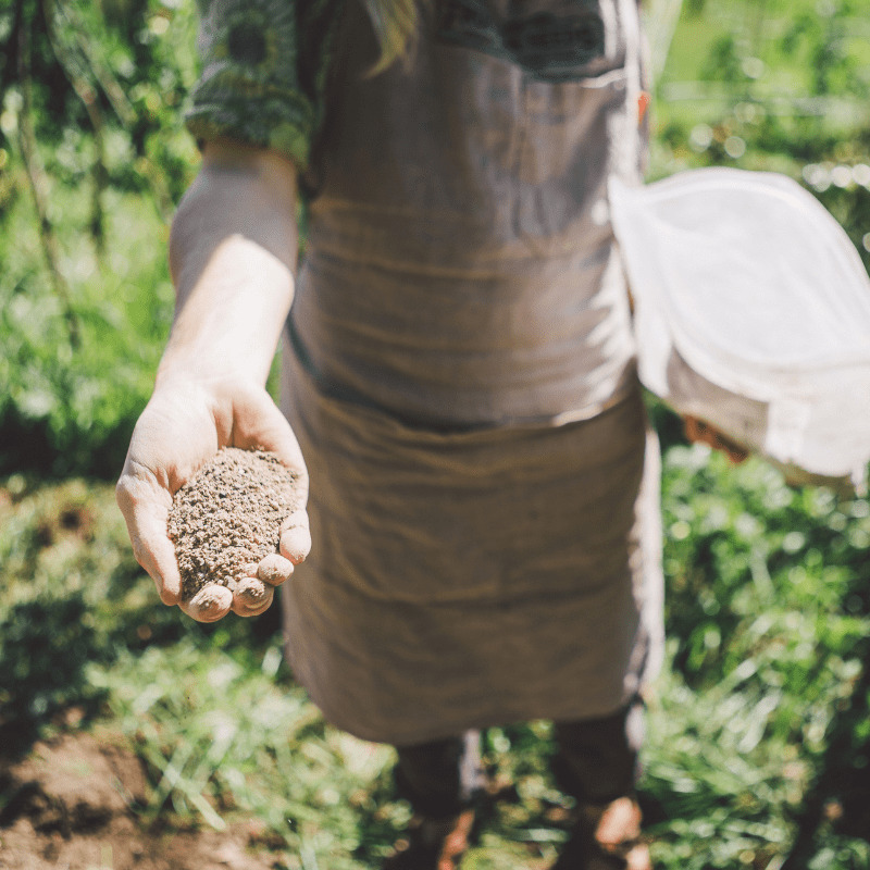 Как подготовить огород к летнему урожаю без химикатов? Эти гранулы улучшат качество почвы