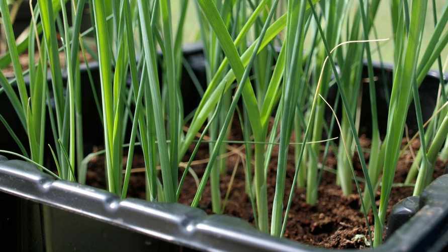 Фото иллюстративное