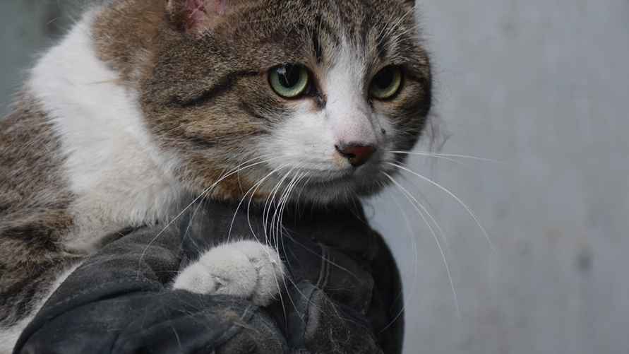 Фото: МЧС Беларуси