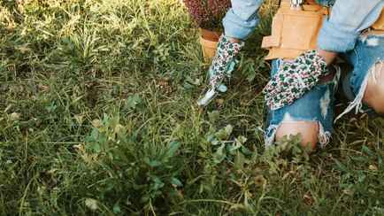 Как быстро избавиться от сорняков на ранних этапах? Нашли 6 работающих способов