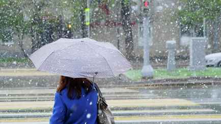 Снег в середине апреля? Синоптики пообещали белорусам «дискомфортную» неделю с грозами и заморозками