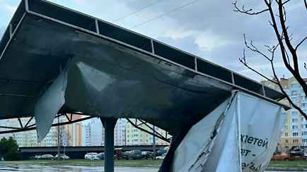 Белорусы поделились видео шторма. Последствия устраняют до сих пор