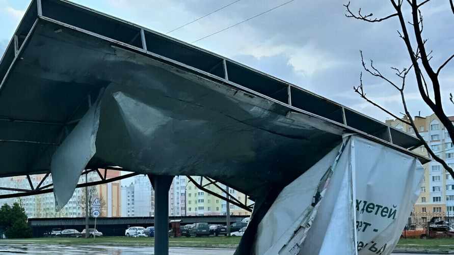 Белорусы поделились видео шторма. Последствия устраняют до сих пор