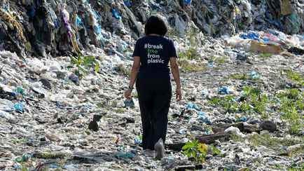 Короли мусора. Американские учёные назвали компании, которые больше всех засоряют окружающую среду пластиком