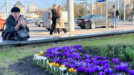 Отклонение от нормы +15,1°С. Витебск стал самой аномально теплой точкой мира