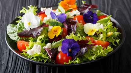 Эти 5 цветов можно есть. Чем полезны анютины глазки и розы?