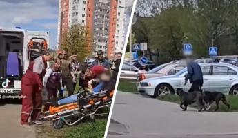 «Одна вцепилась в ногу, другая кусает за голову» — В Минске на парня с инвалидностью напали бойцовские собаки