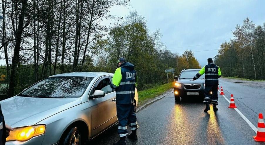 Так, в ГАИ Брестской области сообщили о профилактических