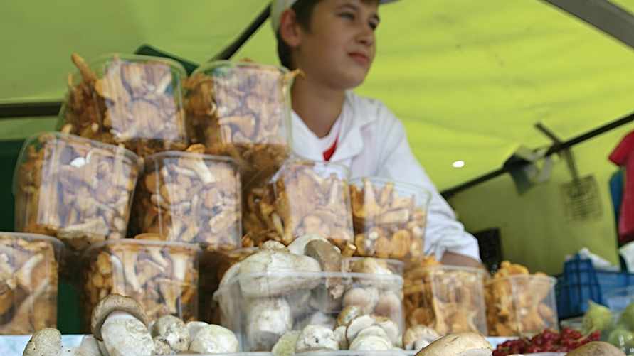 Фото иллюстрационное: Евгений Гладин / ТАСС