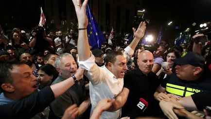 В Грузии на многотысячных протестах против «русского закона» произошли столкновения с полицией