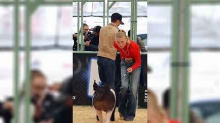 ”Как будто приручила дракона” – Видео с выставки свиней набрало миллионы просмотров. Чем загипнотизировало зрителей?