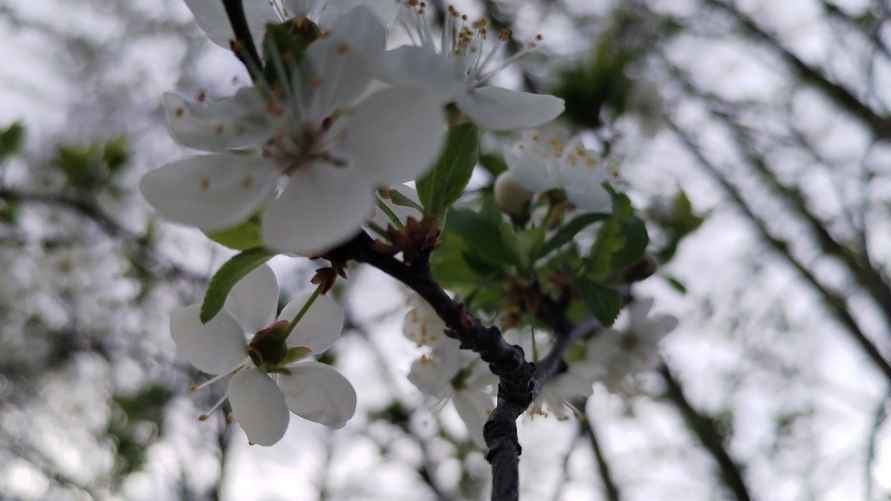 Фото: Telegraf.news