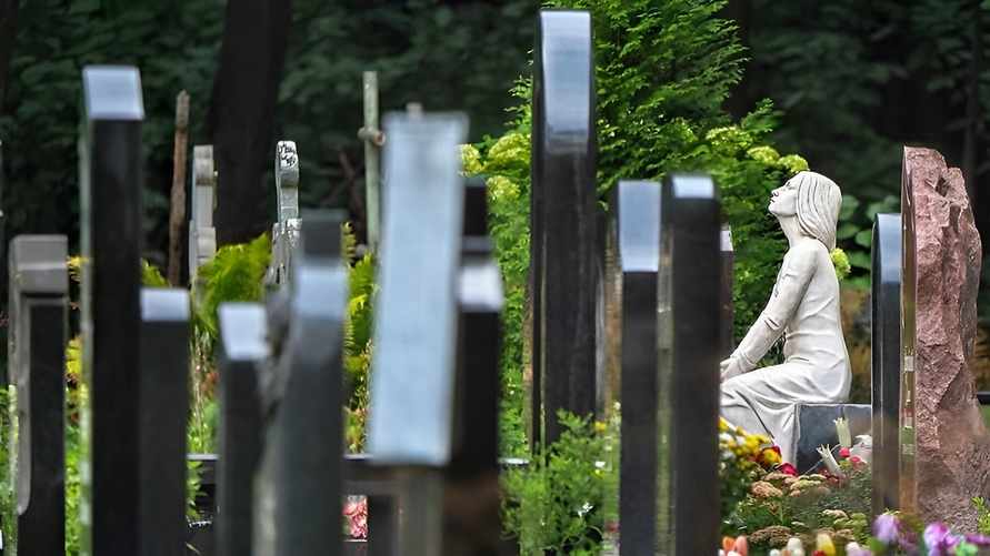 Фото иллюстрационное