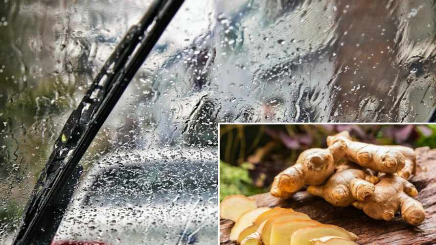 Зачем водителям брать в машину имбирь? Этот лайфхак поможет избавиться от надоевшей проблемы