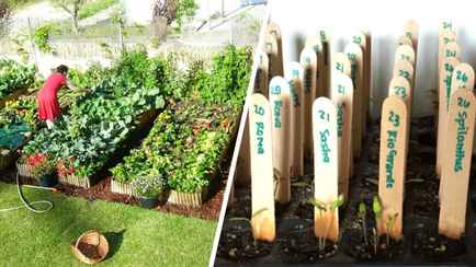 Как не перепутать посаженные на огороде растения? Попробуйте один из этих 10 дешевых способов маркировки