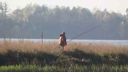 До 720 рублей штрафа за штуку. В Беларуси на полтора месяца ввели полный запрет на лов этого вида рыбы