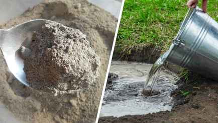 Большинство людей используют золу на огороде неправильно? Вот как приготовить из нее полезный раствор