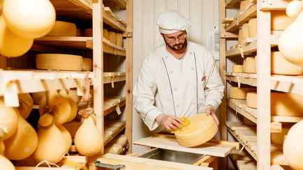 Учёные назвали самый полезный сыр в мире. Почему его можно есть даже «сердечникам»?