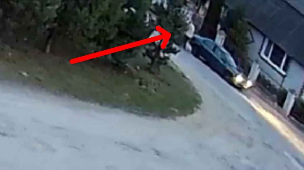 Скриншот: Telegram-канал "Следственный комитет Беларуси"