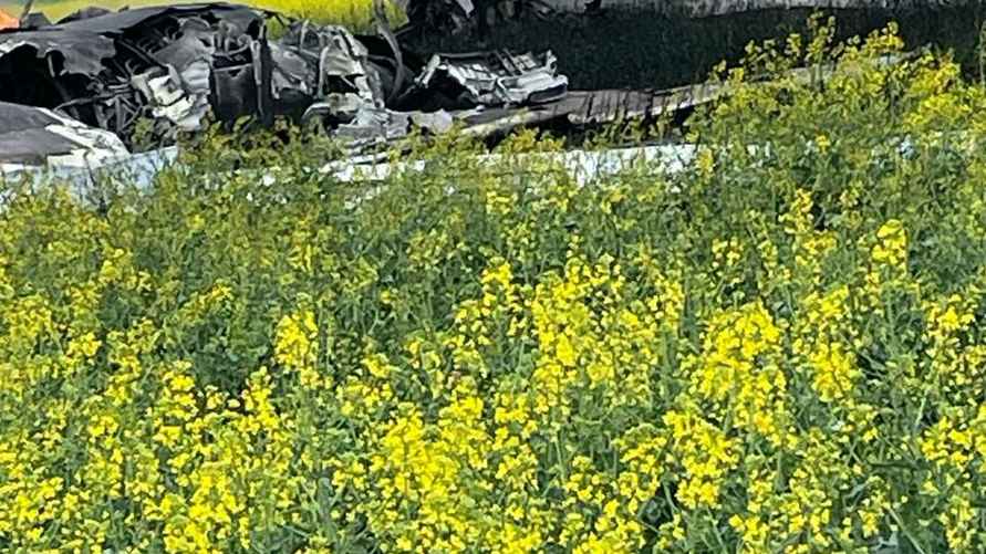 Фото: Telegram-канал "Владимир Владимиров"