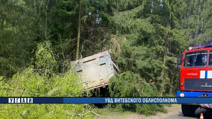 Фото: УВД Витебского облисполкома