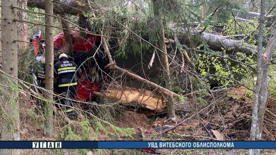 Фото: УВД Витебского облисполкома