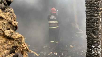 В пожаре в деревне под Берёзой сгорели четыре ребёнка в возрасте от 2 месяцев до 6 лет