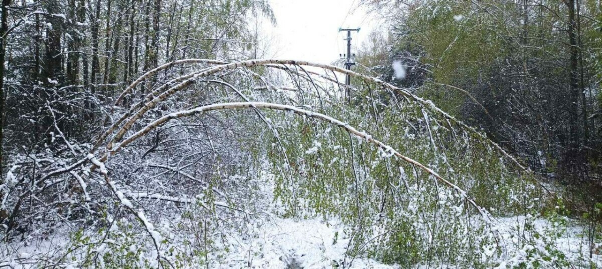 На Гродненщине из-за снега без света остались более 50 населённых пунктов