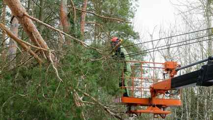 На Гродненщине из-за снега без света остались более 50 населённых пунктов