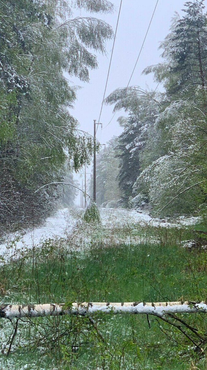 На Гродненщине из-за снега без света остались более 50 населённых пунктов