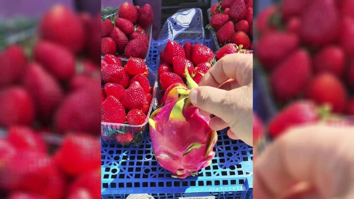 "Для самых блатных" - В Гомель завезли драконий фрукт стоимостью 35 рублей за кило. Какая цена в других местах?