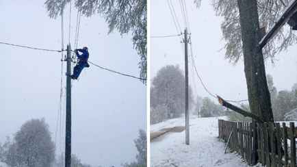 Из-за апрельского снегопада жители трёх районов Витебщины остались без света