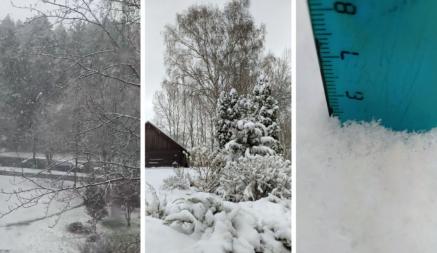 «А у нас зима» — Белорусы поделились видео апрельского снега