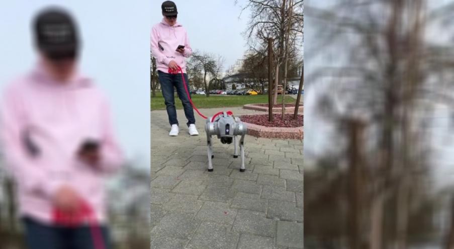 Питомцем парня оказался китайский бионический робот-собака Unitree Go2.