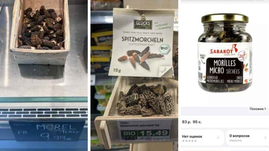 Стоимость сморчков высоких в Португалии, Германии и на Wildberries. Фото из архива Александра Горбацевича