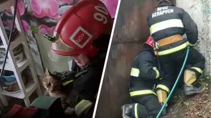 «Провел неделю под полом» — Белорусское МЧС поделилось видео со спасением ещё двух котиков