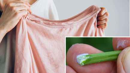 Испортили одежду одуванчиком? Эти способы помогут в борьбе с пятнами от сока и пыльцы цветов