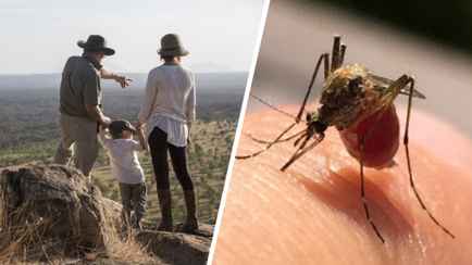 Туристов предупредили о всплеске смертельной жёлтой лихорадки в некоторых странах. Как белорусам обезопасить себя?