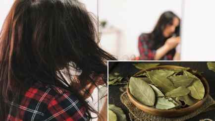 Как предотвратить раннее поседение? Вам понадобится лавровый лист