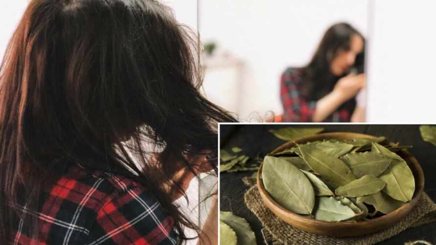 Как предотвратить раннее поседение? Вам понадобится лавровый лист