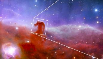 Телескоп «Джеймс Уэбб» показал в деталях, как выглядит туманность «Конская Голова»