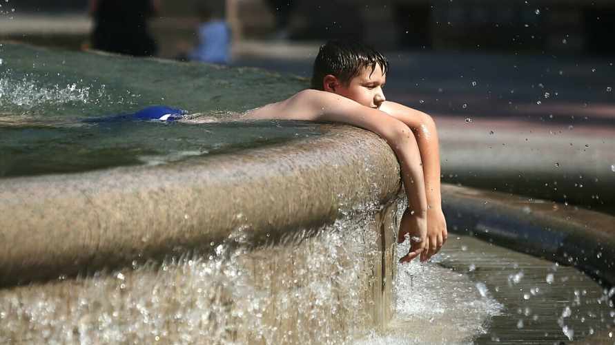 "Если аномалия не стабилизируется к августу" - Климатологи объявили о приближении новой эры на Земле