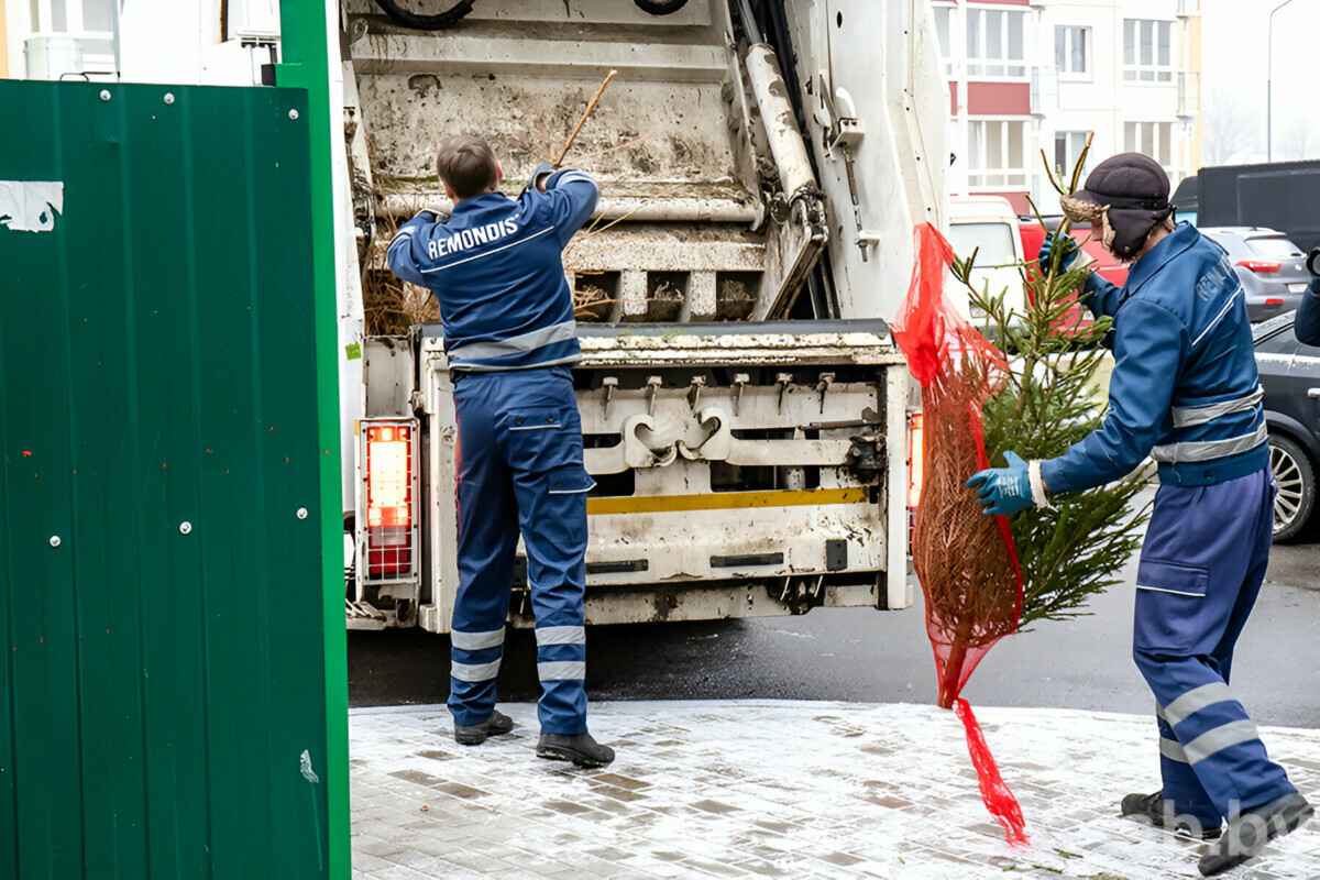 В ЖКХ рассказали, куда звонить минчанам для вывоза крупногабаритного мусора