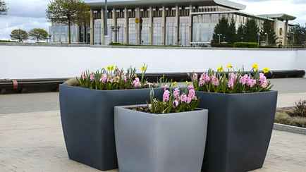 В «Минскзеленстрое» пообещали этим летом в столице парклеты и фитостены. Это что такое?