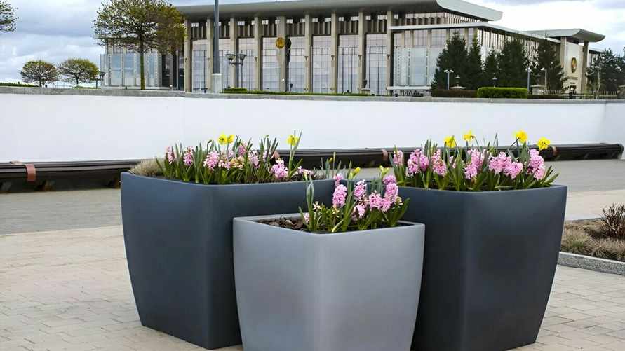 В "Минскзеленстрое" пообещали этим летом в столице парклеты и фитостены. Это что такое?