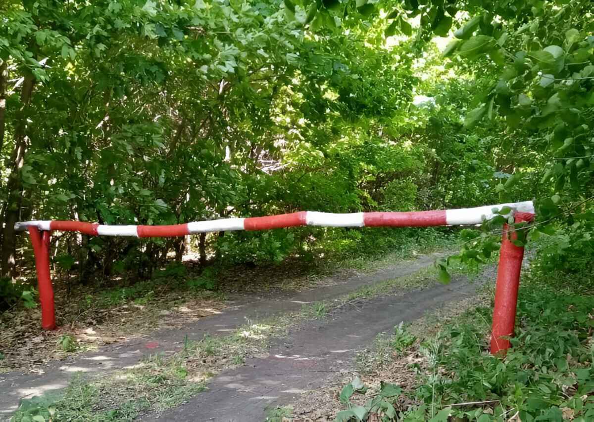 Минлесхоз ввел ограничения на посещение лесов по большей части Беларуси. А какие районы "зеленые"?